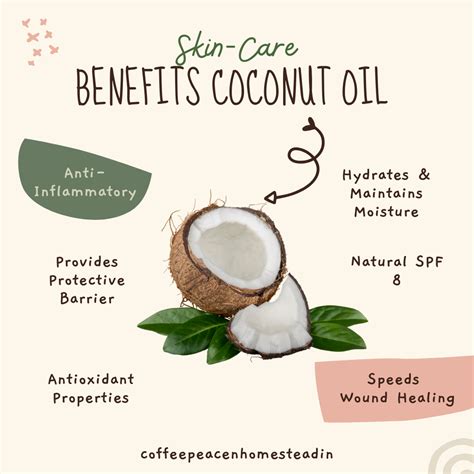 Unveiling the Secret Powers of Magical Coconut Oil: A Natural and Nourishing Skincare Ingredient